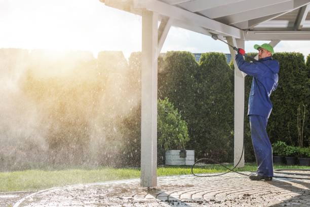 Best Rust Removal  in Danville, IN